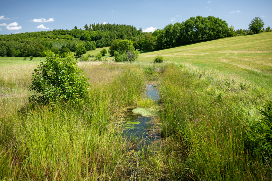 Revitalizace letního kina a obnova potoka ovládly Adapterra Awards v Moravskoslezském kraji